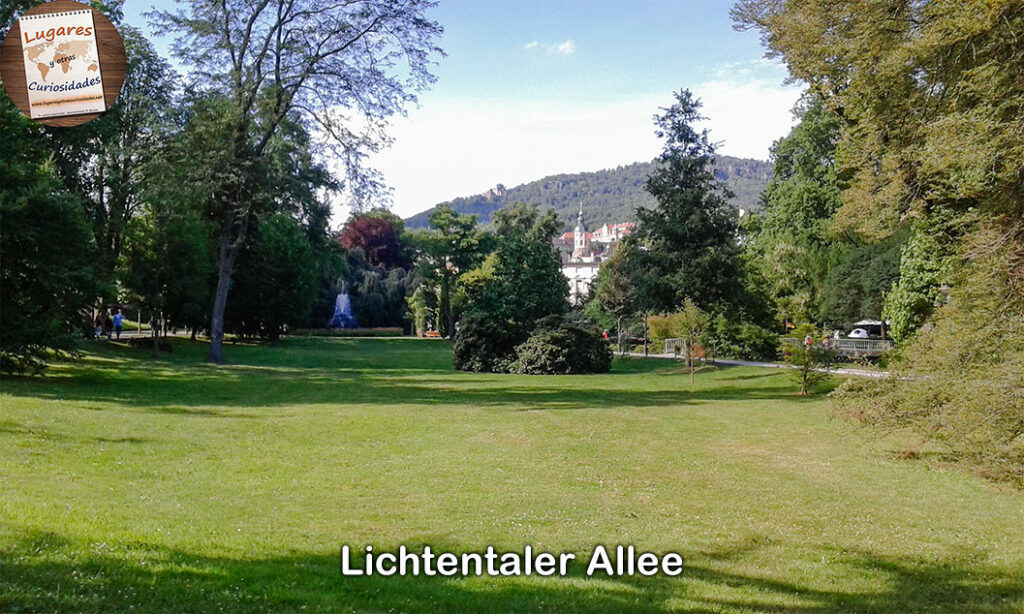 road trip selva negra