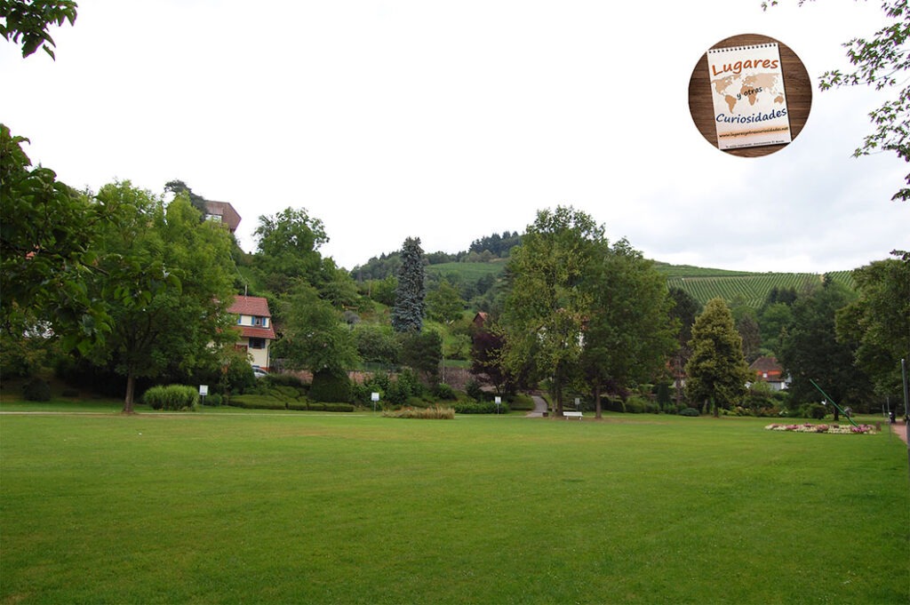 road trip selva negra