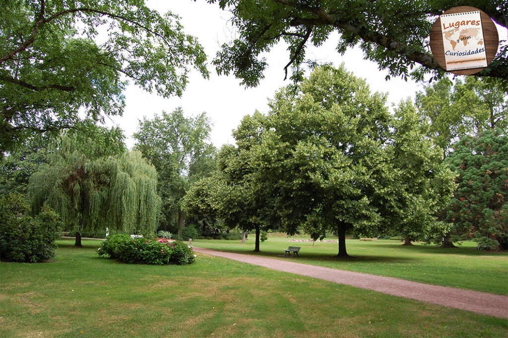 road trip selva negra