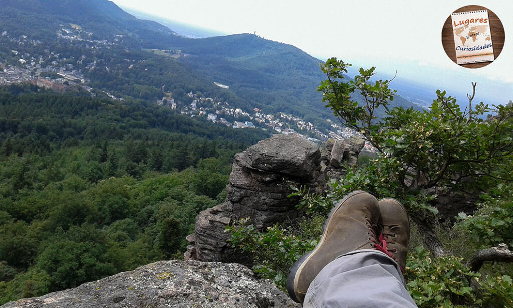 road trip selva negra