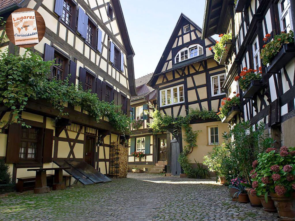 road trip selva negra