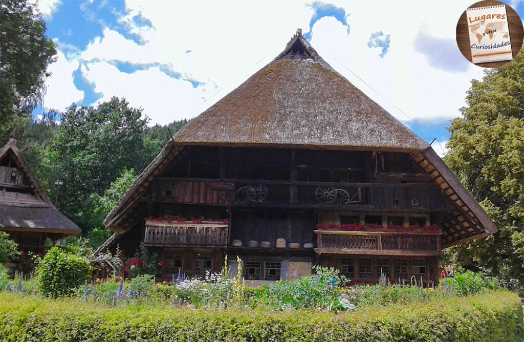 road trip selva negra