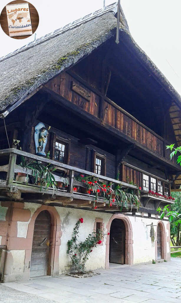 road trip selva negra