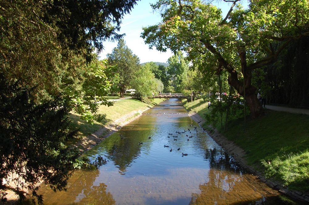 bden baden selva negra