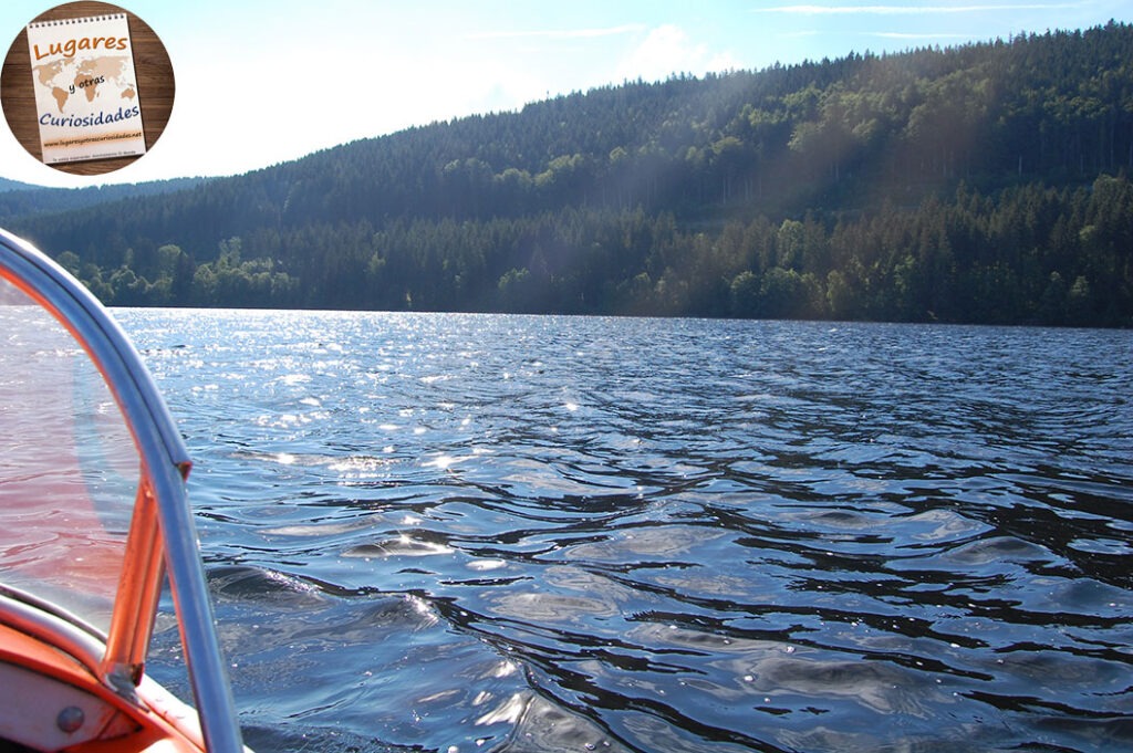 road trip selva negra