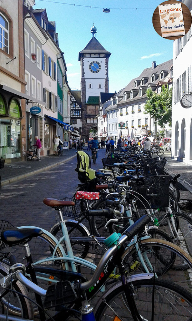 road trip selva negra