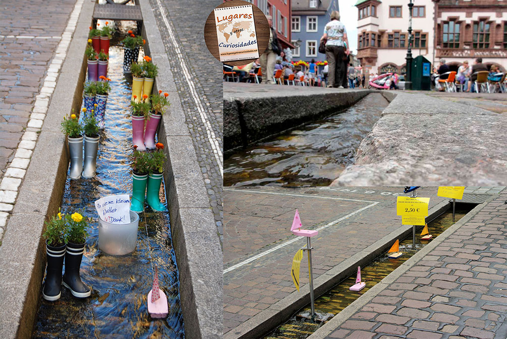 road trip selva negra