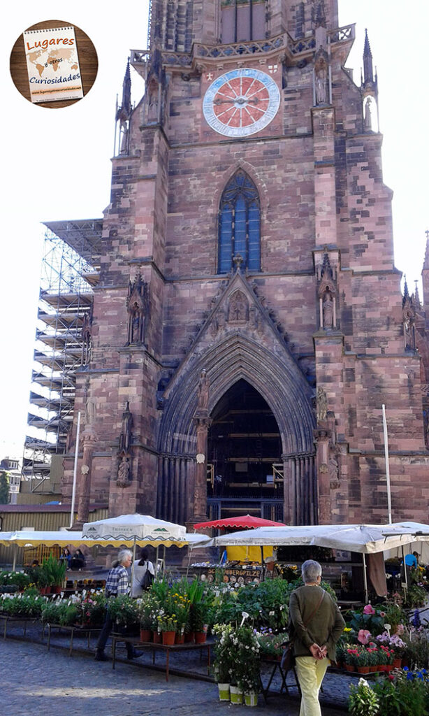 road trip selva negra