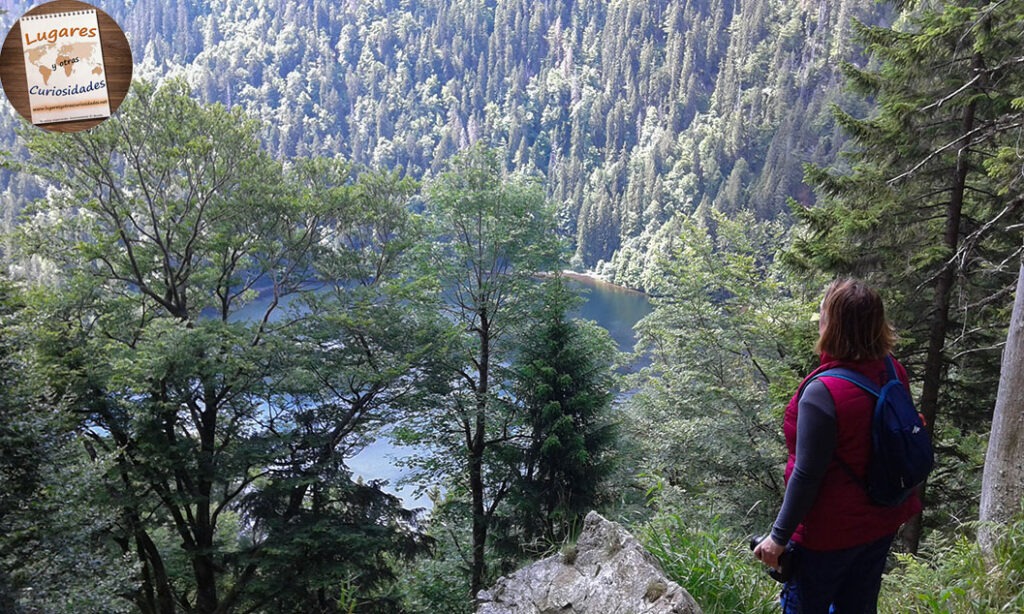 road trip selva negra