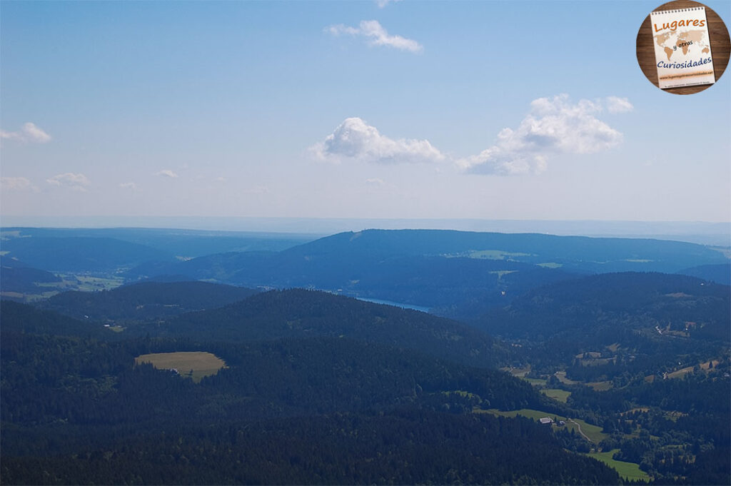 road trip selva negra