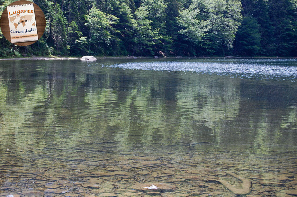 road trip selva negra