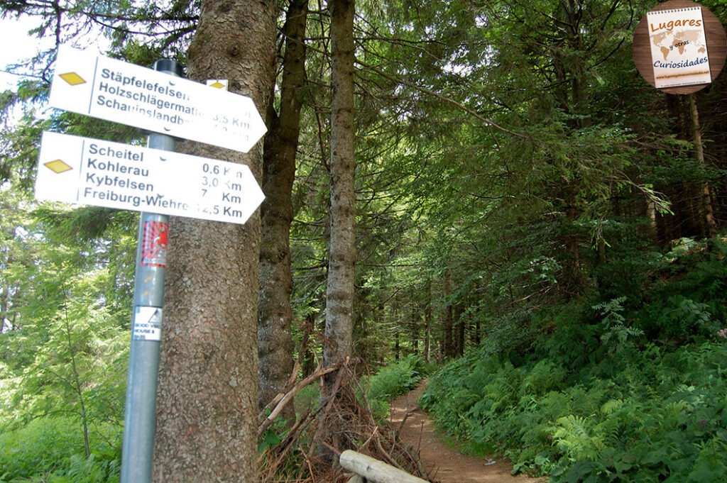 road trip selva negra