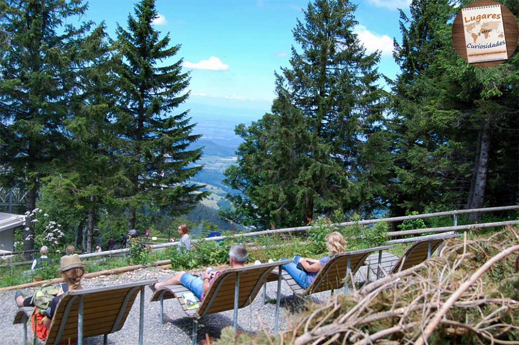 road trip selva negra