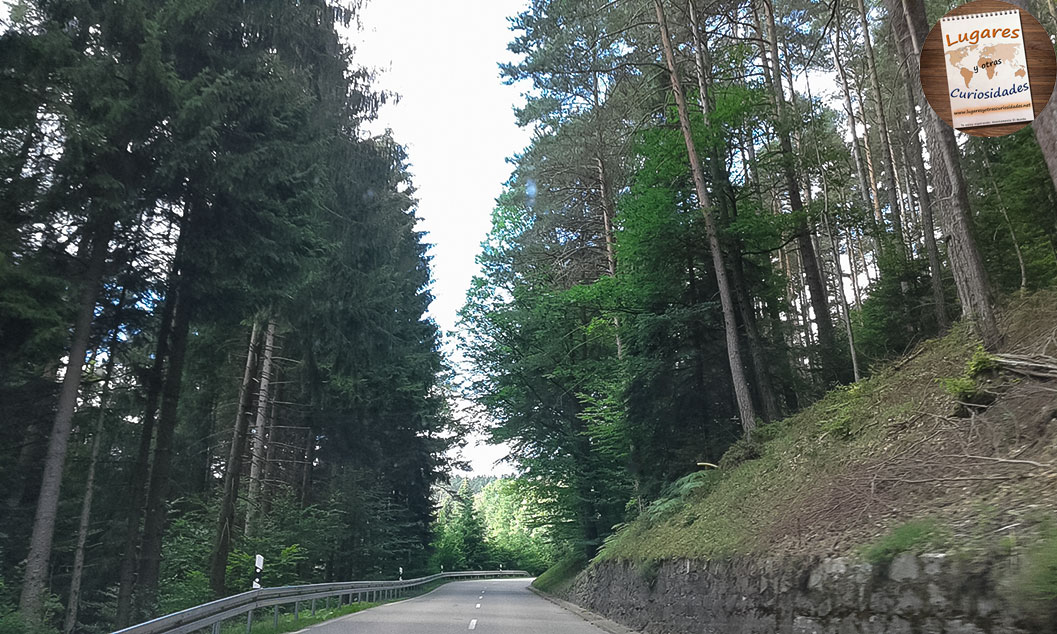 road trip selva negra