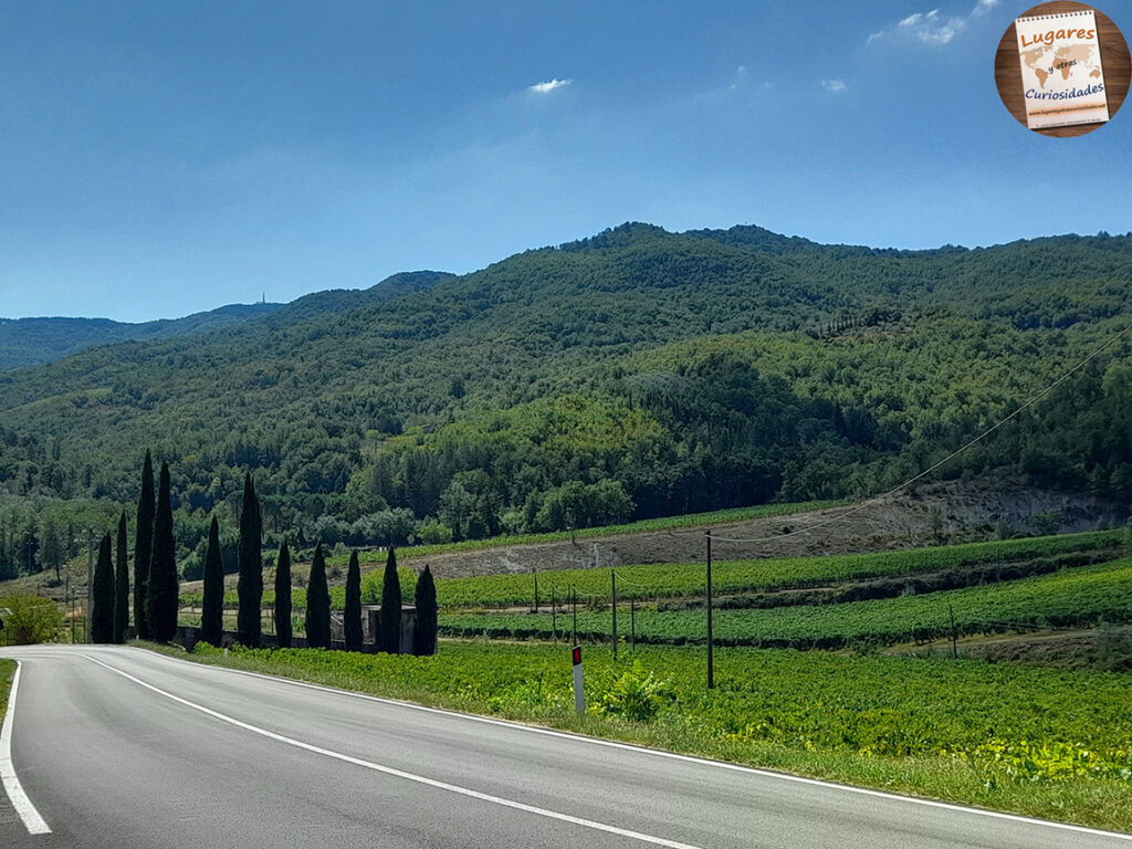 viñedos en la Toscana