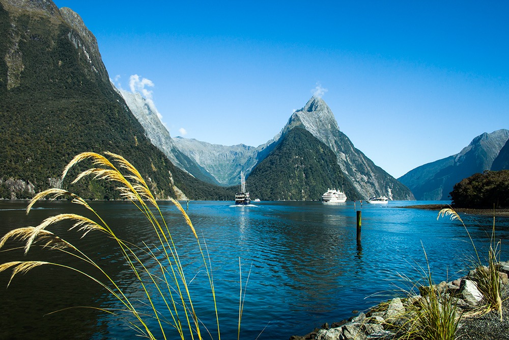 fiordland national park nueva zelanda