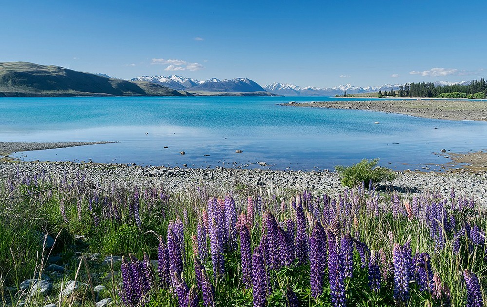lago tekapo nueva zelanda