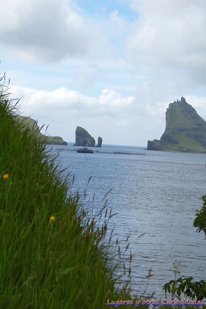 Bøur islas Feroe