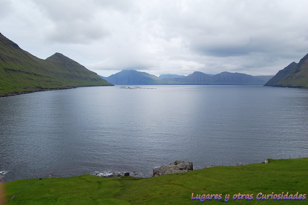 Funningur islas Feroe