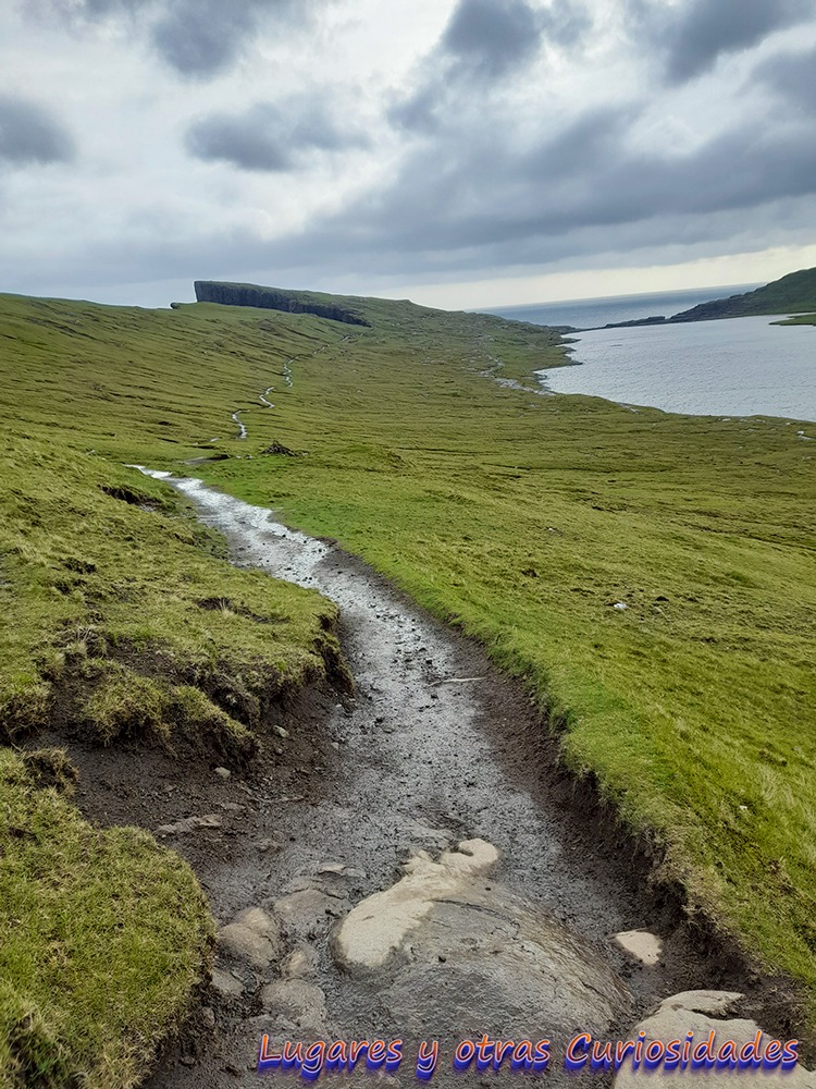 Traelanipan islas Feroe