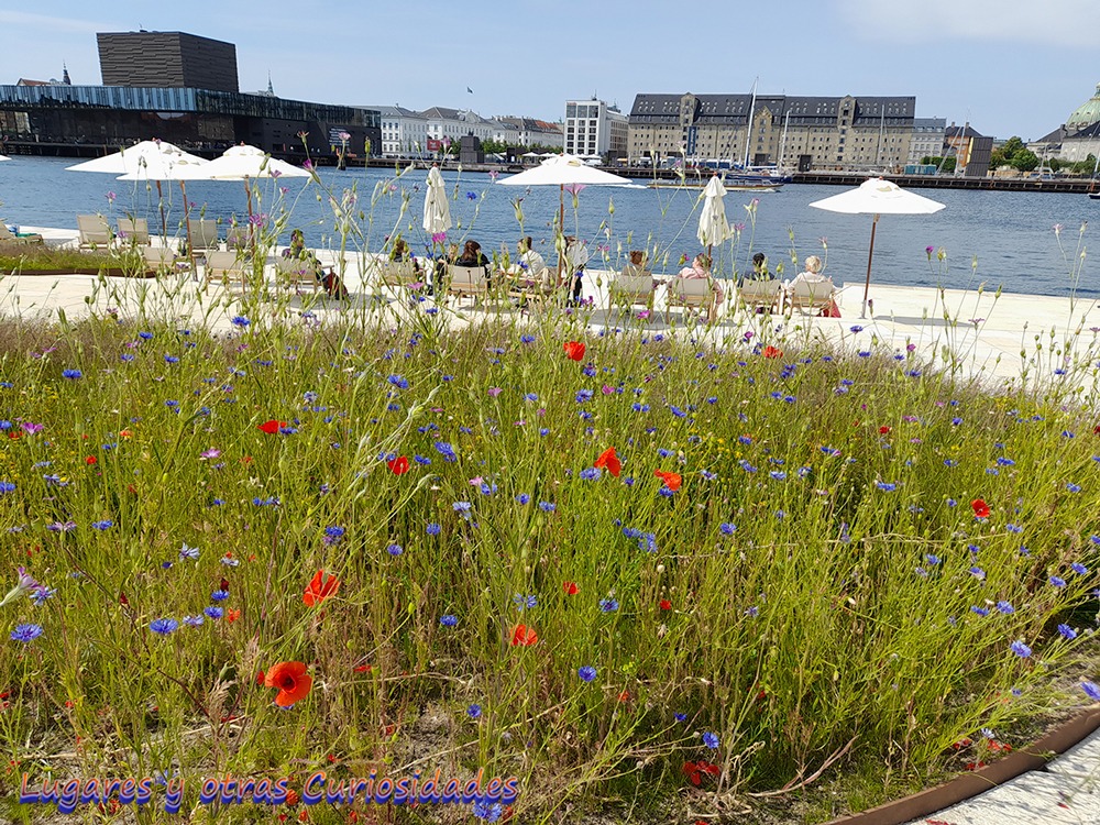 ópera de Copenhague