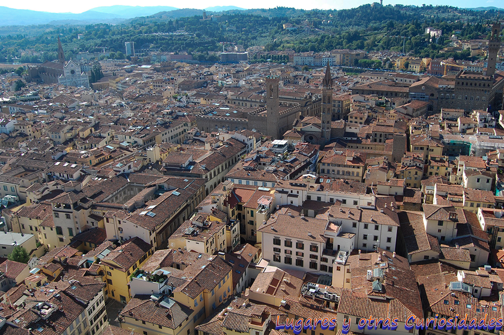 Florencia