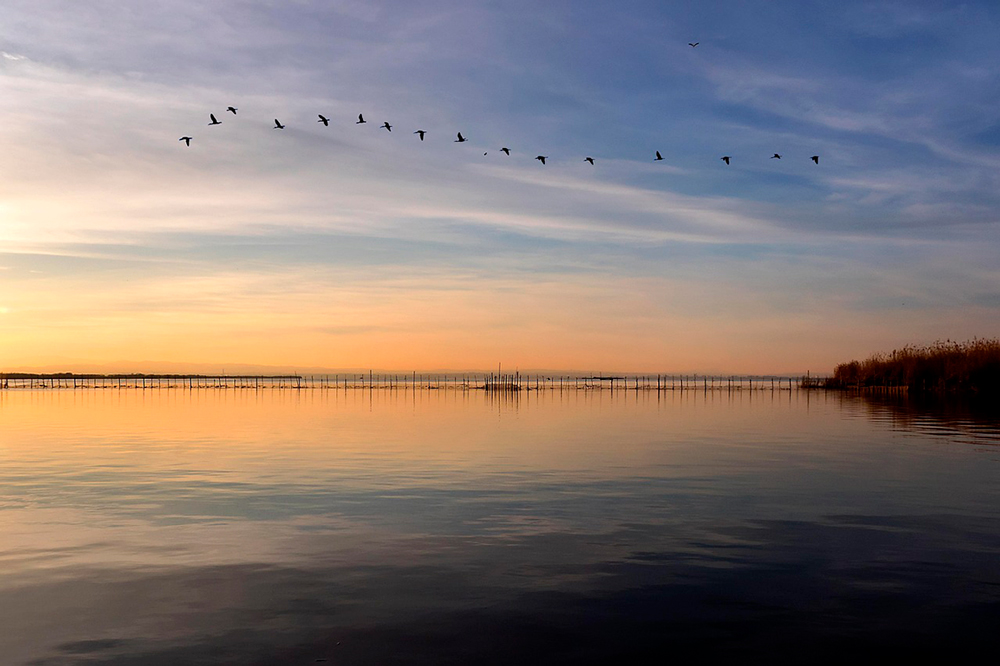 Atardecer en la Albufera
