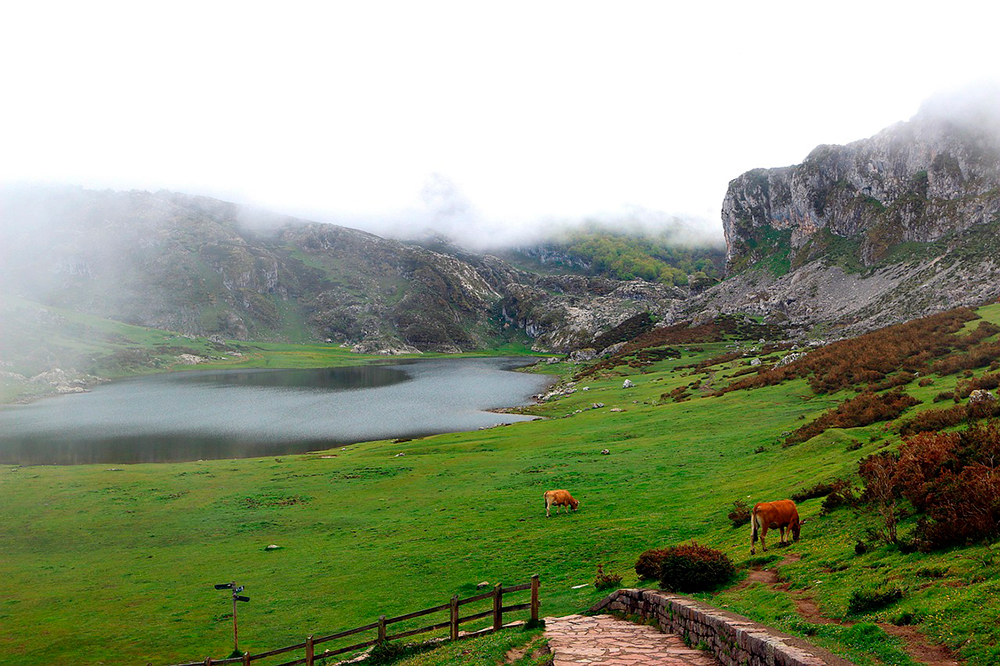 Lagos de Covadonga