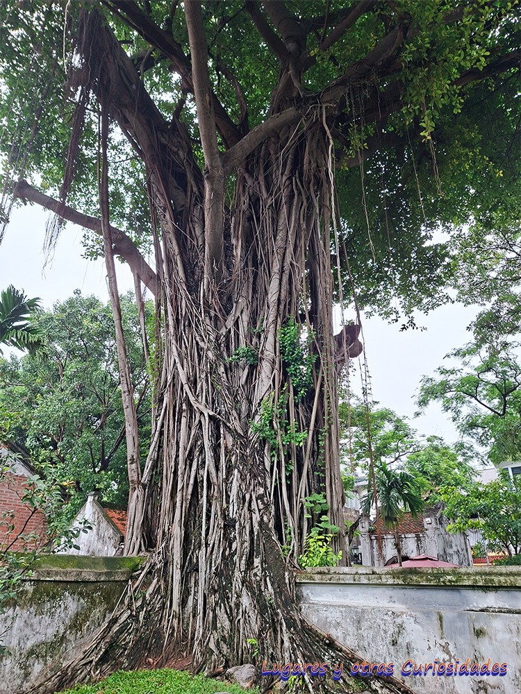 Templo de la literatura Hanói Vietnam