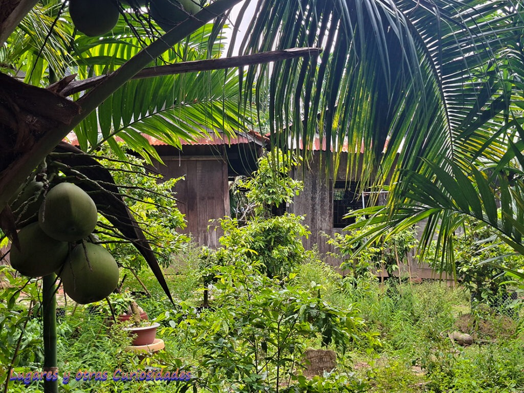 comuna de Phú Túc, en Bến Tre