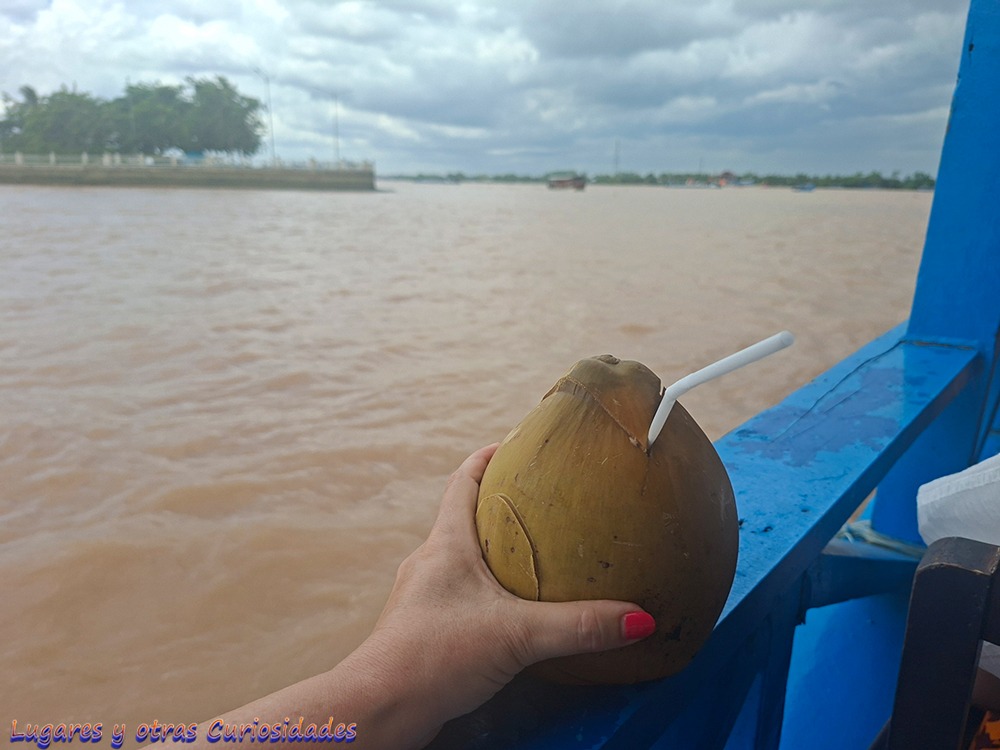Delta del Mekong