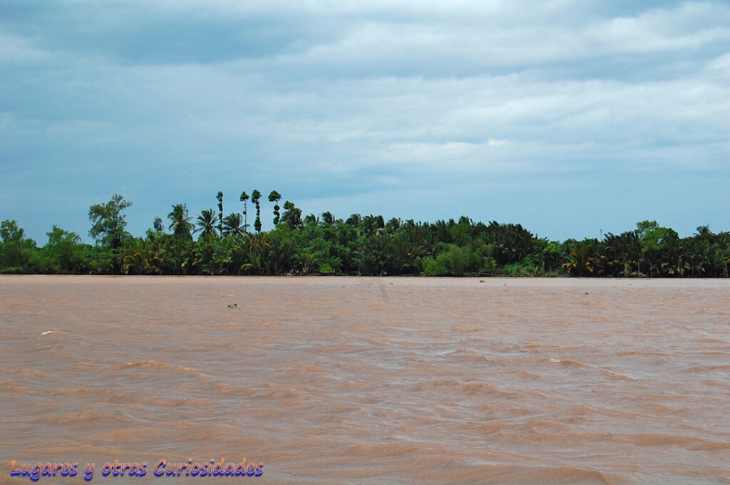 Delta del Mekong