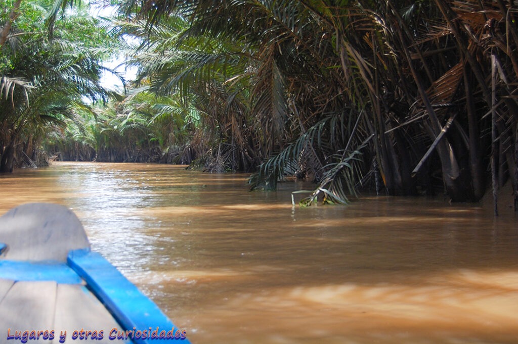 Delta del Mekong
