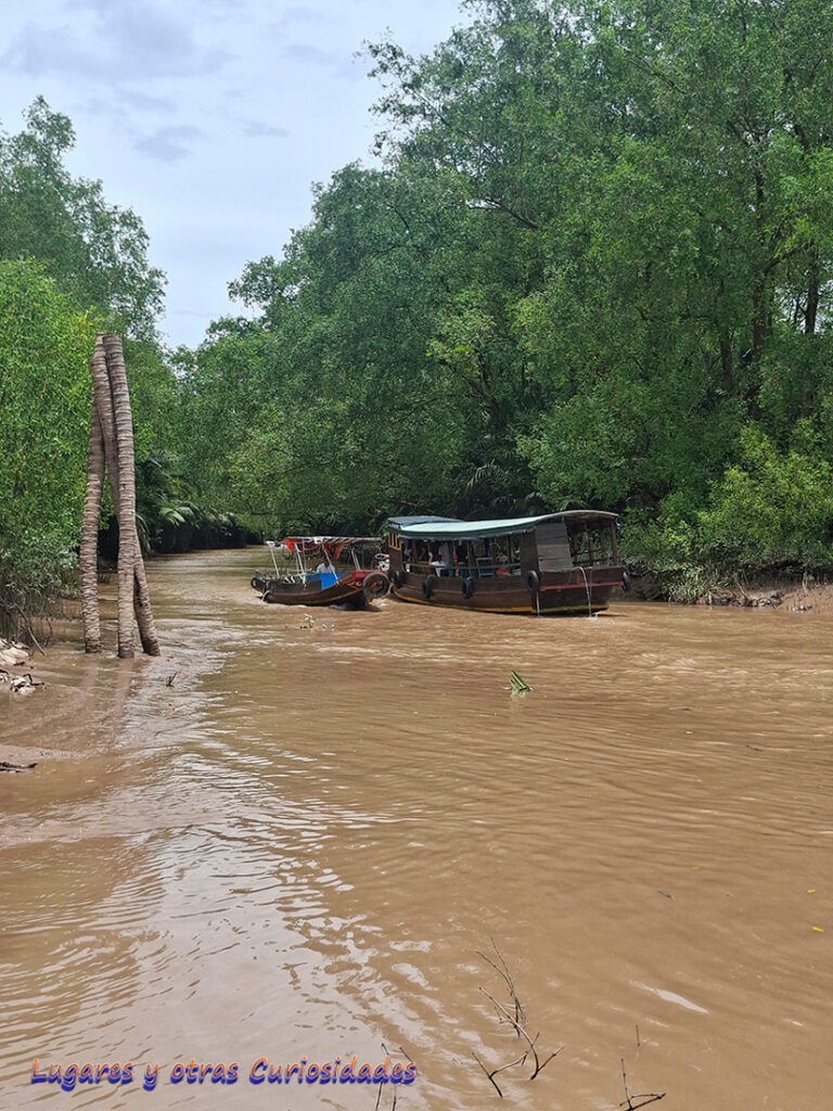 Delta del Mekong