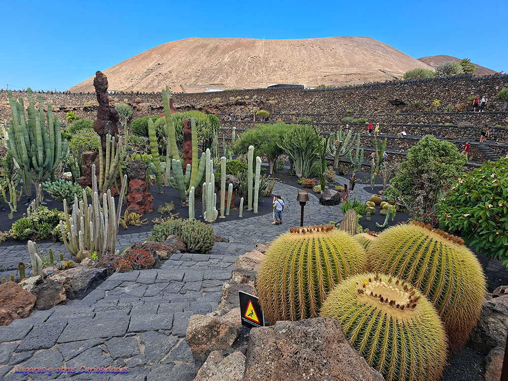Jardín de Cactus Lanzarote