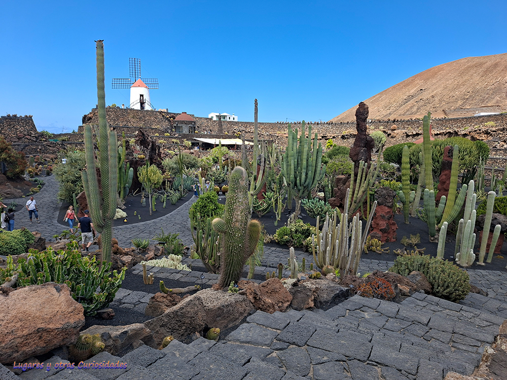 Jardín de Cactus Lanzarote