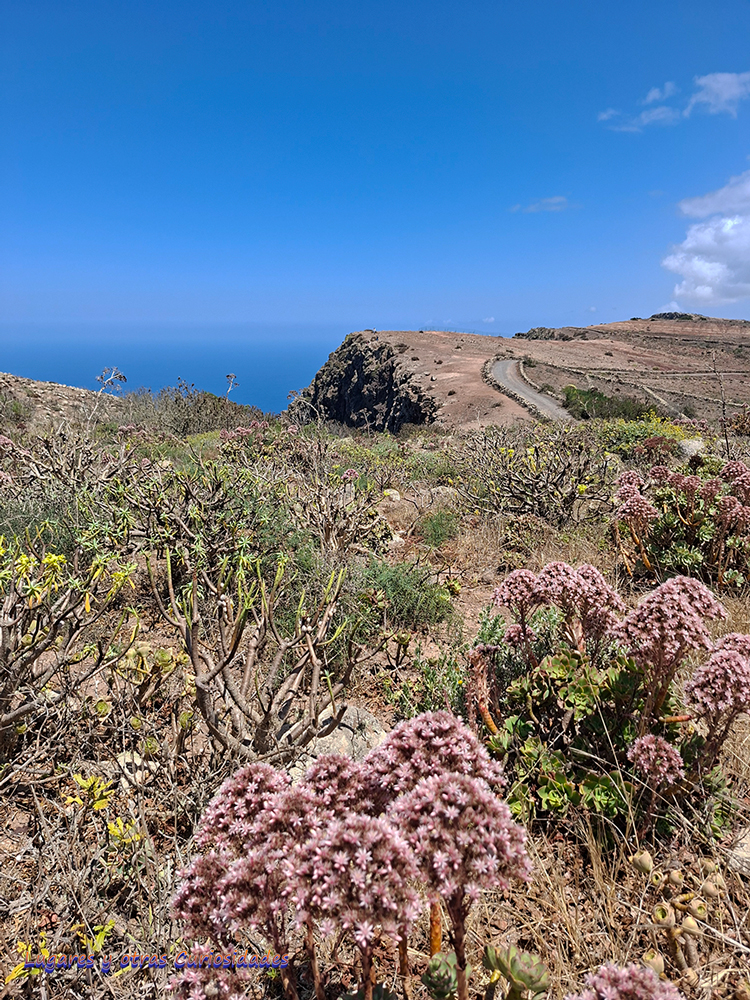 Risco de Famara, Lanzarote