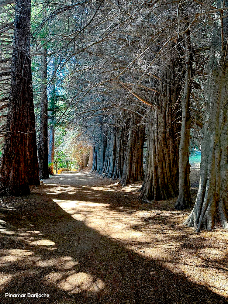 Bariloche